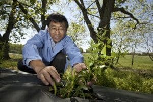 A person in a blue lab coat is kneeling outdoors, gently planting a young green plant. Lush trees and a grassy field are visible in the background under a clear blue sky.