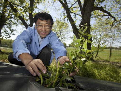 A person in a blue lab coat is kneeling outdoors, gently planting a young green plant. Lush trees and a grassy field are visible in the background under a clear blue sky.
