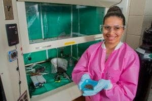 High school student in a laboratory holding a soil sample for science experiment or research.