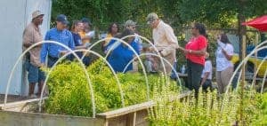 Plant workshop with diverse participants examining herbs and plants in a community garden.