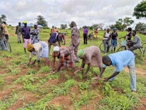 Affordable community farming initiative promoting sustainable agriculture and local food security.