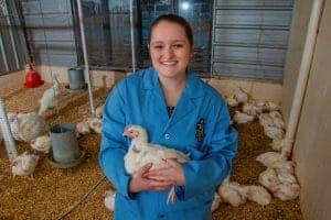 A woman in a blue lab coat holding a white chicken inside a poultry farm.