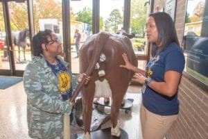Two women interacting with a life-sized cow model at CAES News event.