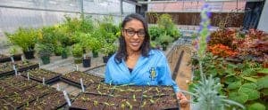A woman in a blue lab coat tending to seedlings in a greenhouse.