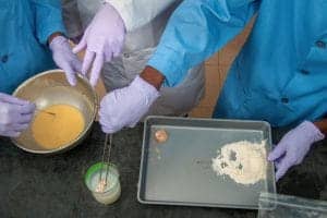 A woman wearing purple gloves preparing a food sample in a laboratory setting.