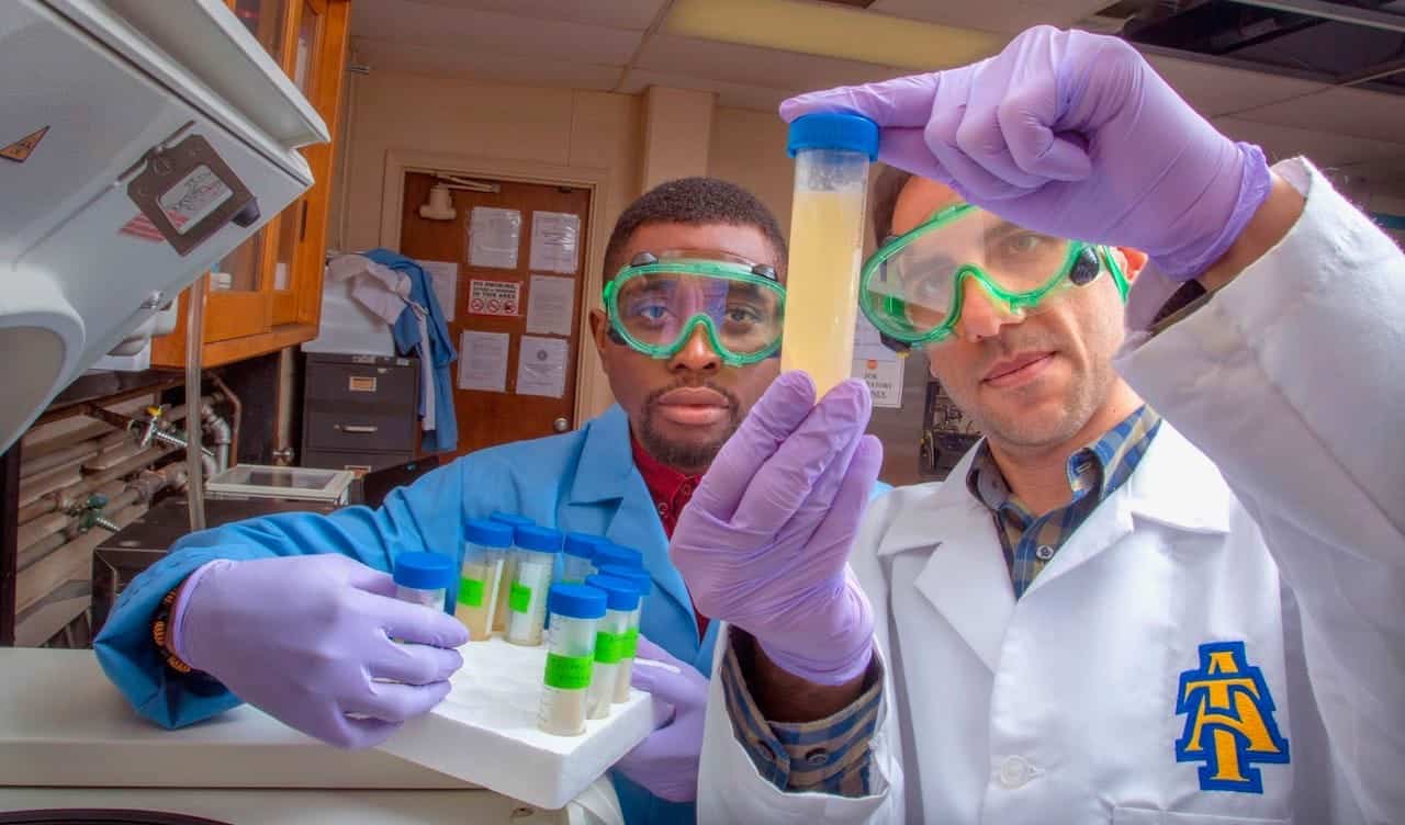 Scientists conducting experiments with test tubes and laboratory equipment.