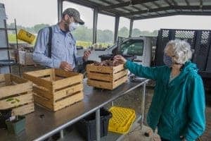 Farmer and customer exchanging produce at farm stand, wearing masks for safety.