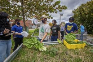 Healthy community members participating in urban gardening and sustainable agriculture.