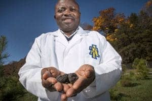 Soil scientist holding soil samples outdoors in a park or field.