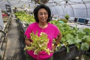 Healthy woman holding fresh lettuce in greenhouse for sustainable agriculture research.