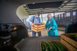 Fresh produce donation at CAES News food bank, two volunteers wearing masks, handling vegetables and.