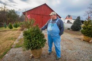 Man selecting a Christmas tree outdoors at a tree farm in winter.