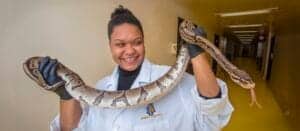 A woman in a lab coat holding a large snake in a laboratory corridor.