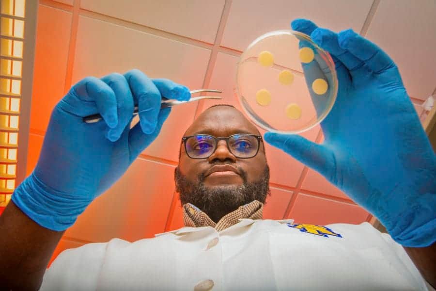 Microbiologist examining bacterial culture in laboratory with petri dish and tweezers.