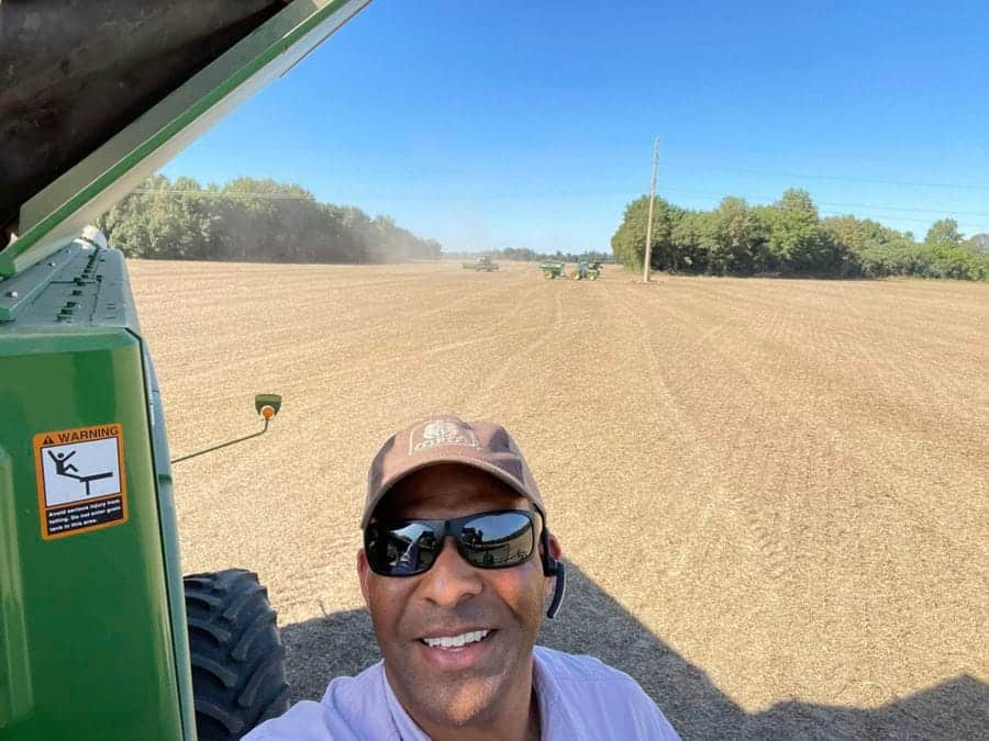 Harvesting wheat in a vast field during sunny weather with a combine harvester.
