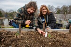 Planting two women working together in a garden bed outdoors, smiling and engaging in community gard.
