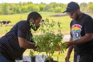 Young men planting a tree outdoors for environmental conservation and community sustainability.