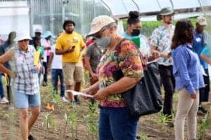 Planting event with diverse participants in a greenhouse or garden setting.