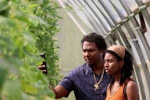 Healthy young woman and man inspecting plants inside a greenhouse, focusing on agricultural innovati.