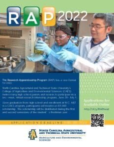 Hands-on research activity with students in a laboratory setting, focusing on scientific experiments.