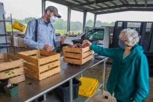 Fresh produce being handed over at a farm stand, with both individuals wearing masks for safety.