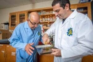 Scientists conducting a chemical experiment in a laboratory setting.