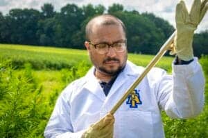 A scientist in a white lab coat inspecting a plant in a lush green field.