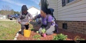 Healthy outdoor gardening with a woman and child planting flowers in a yard.