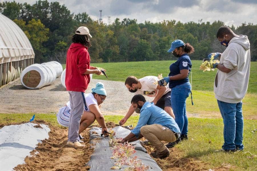 Planting community members working together on a farm with green fields and trees in the background.
