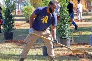 Planting trees in a community park for environmental conservation and urban beautification. Voluntee.