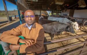 Cattle farmer in a modern indoor livestock facility with black and white cows.