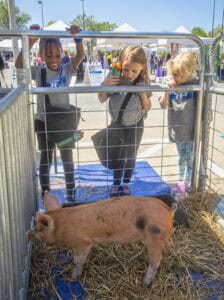 Cute children observing a pig at an outdoor farm exhibit during a community event.