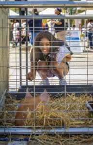 Cute woman smiling at a baby pig in a farm animal enclosure at an outdoor event.