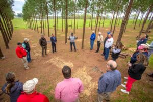 Promoting forest conservation and community engagement in a natural wooded area.