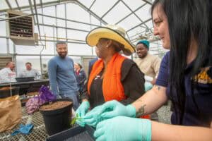 Healthy plants being cultivated in a greenhouse with diverse individuals engaging in gardening activ.