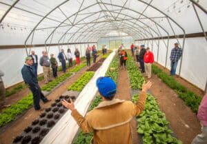 High school students and instructor in a greenhouse with rows of leafy greens and lettuce, engaging.