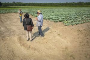 Farmers and agronomists discussing crop conditions in a large agricultural field.