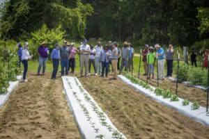 Planting community members working together in a vegetable garden during daytime.