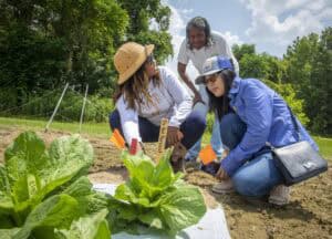 Planting community garden with diverse group of women outdoors.