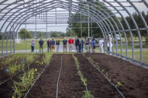 Drip irrigation system in a greenhouse with young plants and a group of people observing.