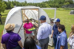 Community gardening workshop at a greenhouse with diverse participants.