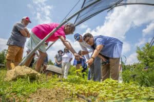 Sustainable farming workshop with diverse group of people planting crops outdoors.