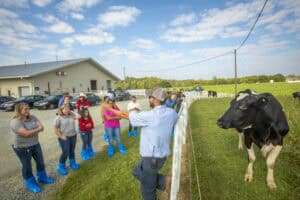 Cattle farm tour with visitors and guide, rural farm setting, cows grazing, and educational experien.
