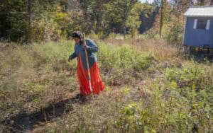 Planting a young tree in a rural field during autumn, with a woman in traditional attire and a small.