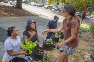 Planting community garden vegetables with volunteers and a woman giving instructions outdoors.