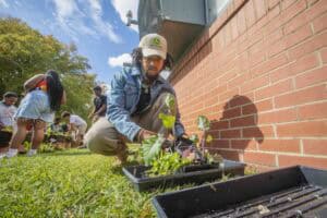 A person kneels on grass, planting seedlings in containers while others garden nearby under a sunny sky.