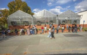 A diverse group of people works in front of greenhouses, tending to plants along a brick wall under blue skies.