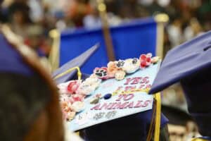 Graduation cap decorated with "No to Animal Cruelty" message at a ceremony.