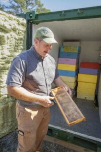 Beekeeper inspecting honeycomb frame near beekeeping supplies in a mobile apiary.