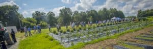 Planting event with people working in a farm or community garden, sunny day, lush green surroundings.